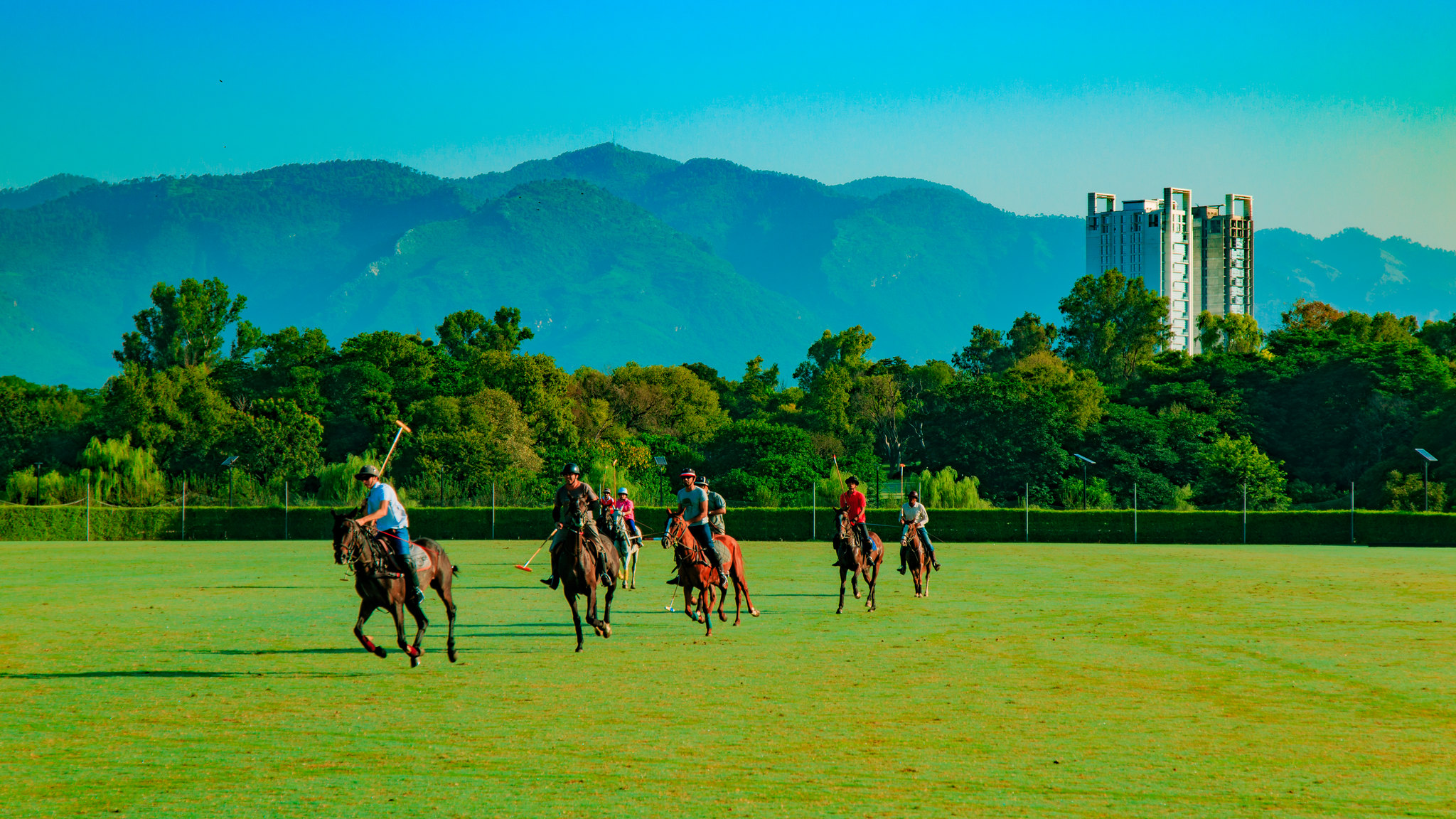 The Timeless Elegance of Polo: A Sport and Lifestyle Unveiled